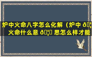 炉中火命八字怎么化解（炉中 🦈 火命什么意 🦉 思怎么样才能旺）